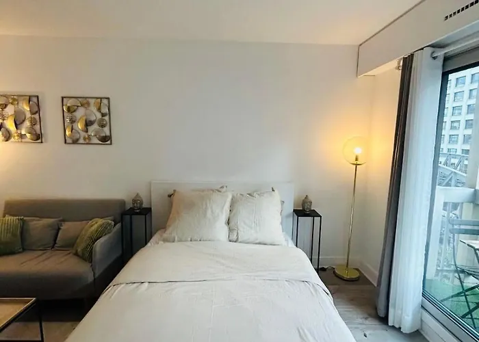 Tour Eiffel Bir Hakeim 2